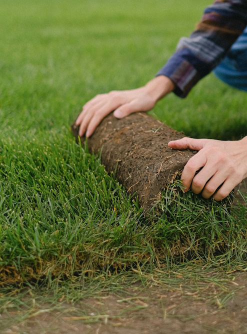 Sod Installation